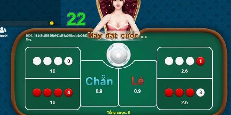Các cửa cược tại sảnh 
